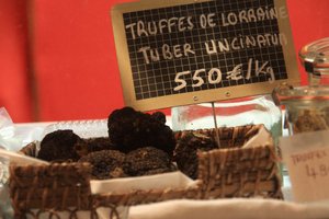 20091206_francegermanytrip_42_stras